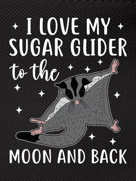 Sugar glider