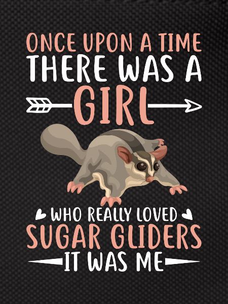 Sugar glider