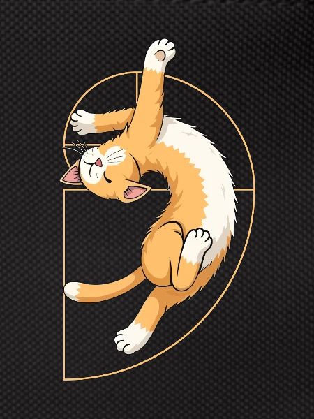 Fibonacci Spiral Cat