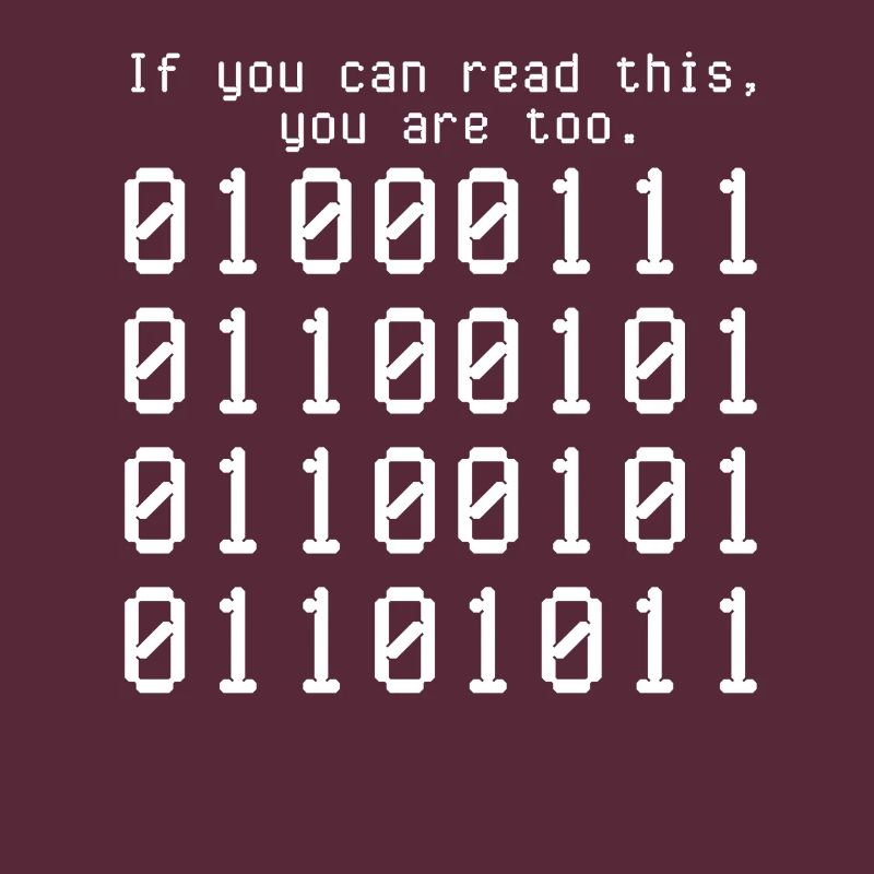 Programmierer Computercodierungssoftwareentwickler