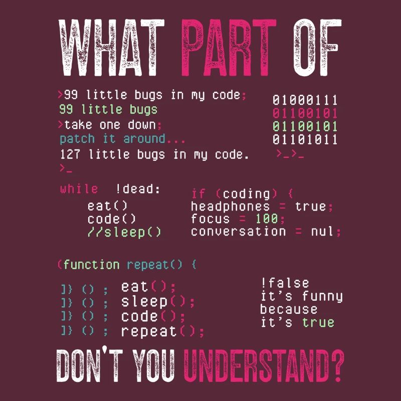 Programmierer Computercodierungssoftwareentwickler