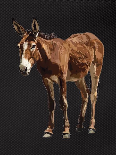 Mules Mule