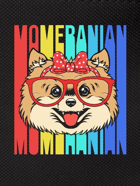 Zwergspitz Pomeranian Mama