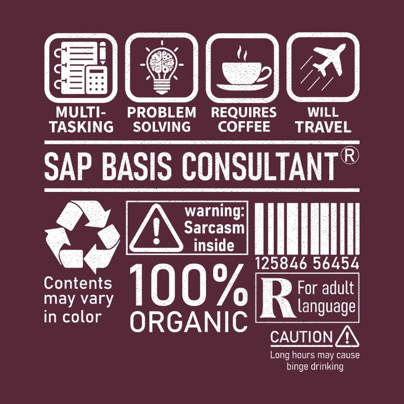 Sap Basis Consultant multi tasking problem solving