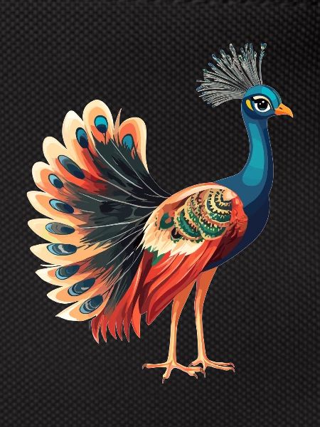 Peacocks Peacock