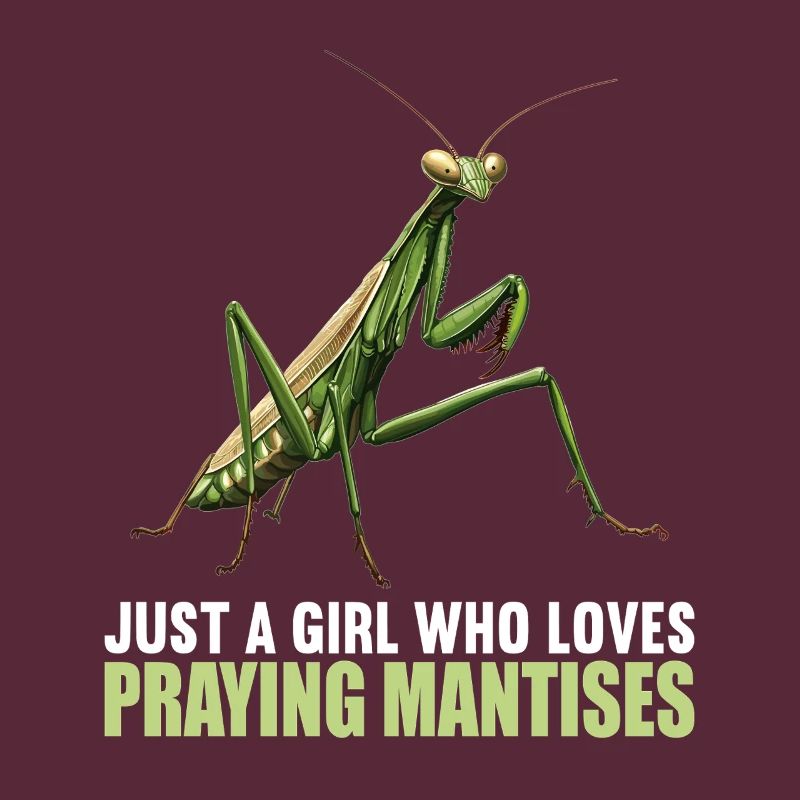 Praying mantises Praying mantis