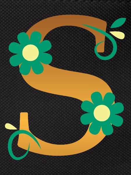 S