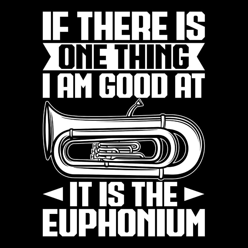Baritone Player One Thing I Am Good Euphonium