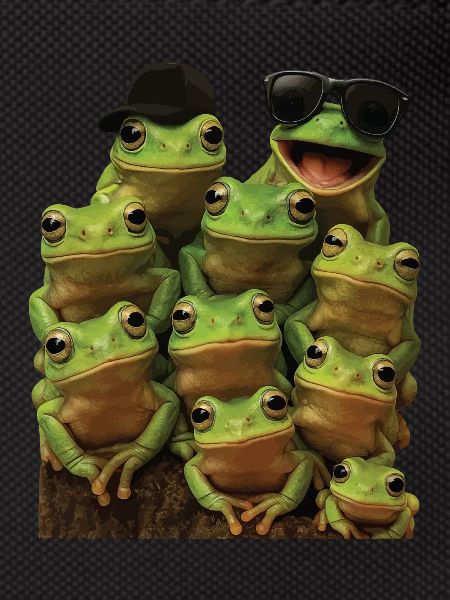 Frosch