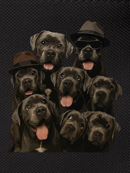 Cane Corso