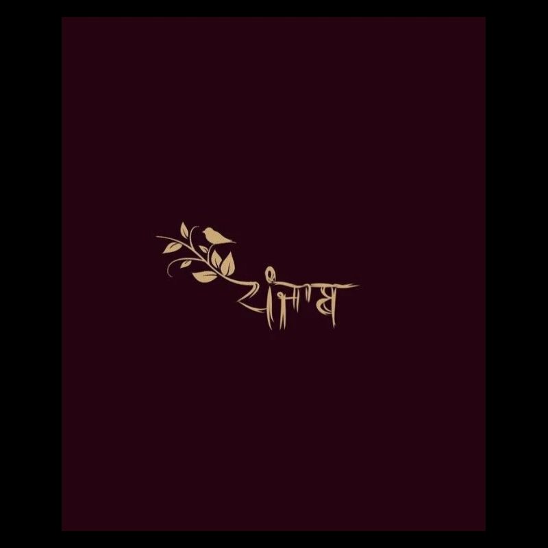 Punajb