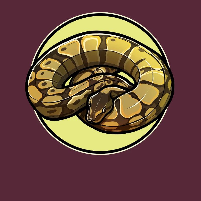 Ball Python Roi Python Roi Python