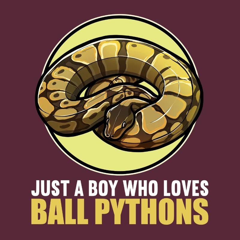 Ball Python Roi Python Roi Python