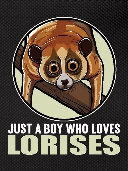 Lois lents Loris