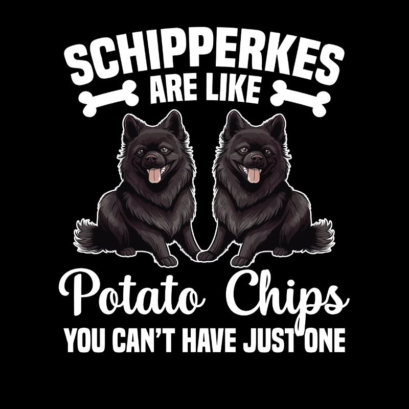 Les Schipperkes sont comme des chips que vous