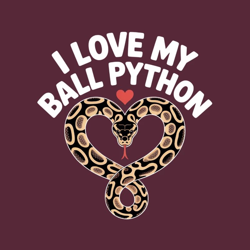 J’adore mon python royal ! Roi python