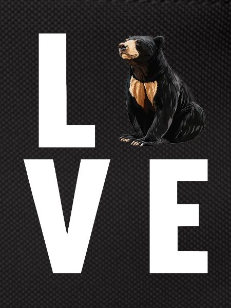 Sun Bear Malay Bear