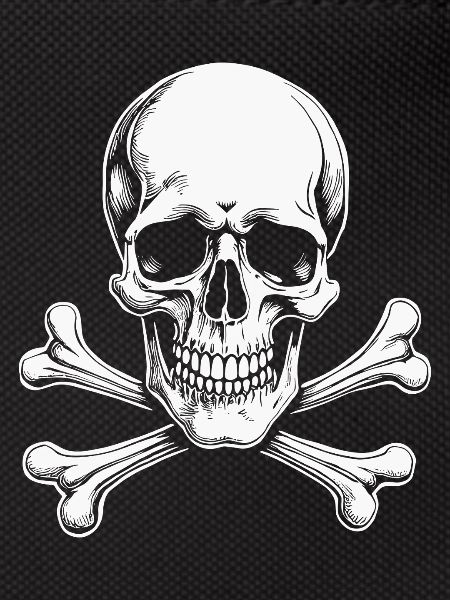 Classic Jolly Roger Skull