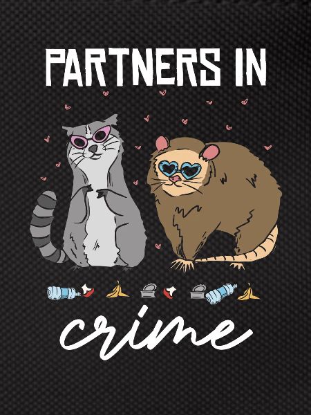 Partner in Crime Cat Duo
