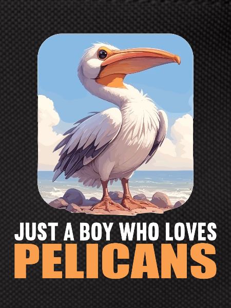 Pelicans Pelican