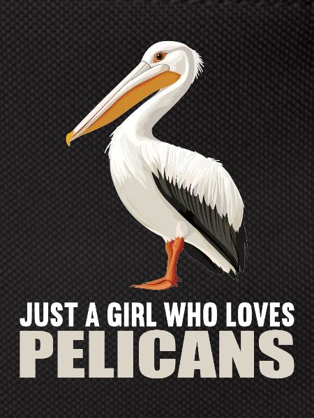 Pelicans Pelican