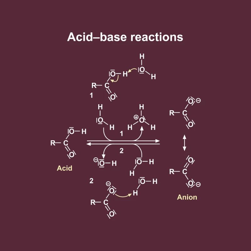 Réactions Acide Base Illustrées