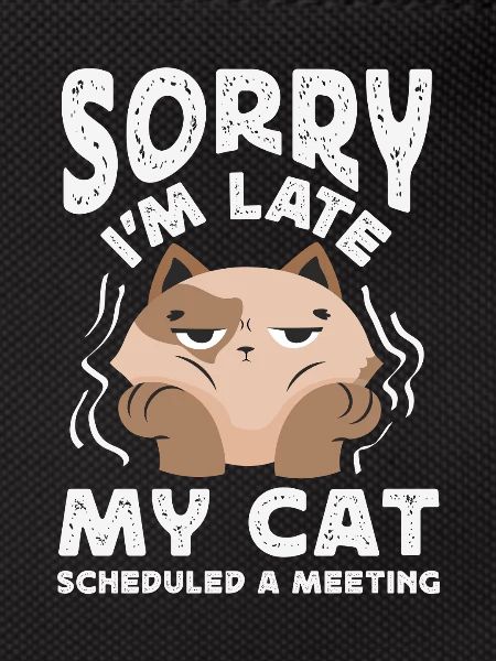 Sorry I'm late.