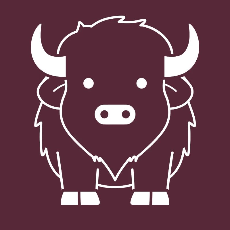 Bison