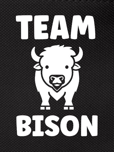 Bison