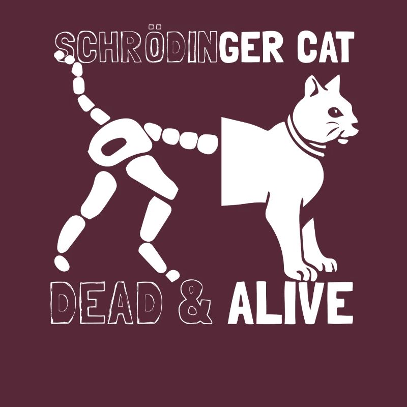 Le chat de Schrödinger