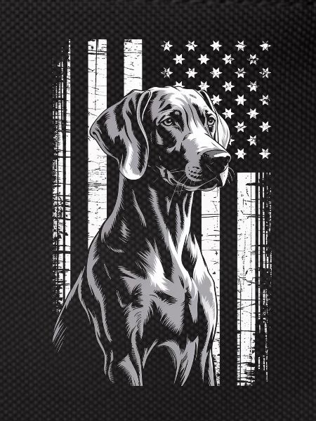 Chien gris avec rayures étoilées
