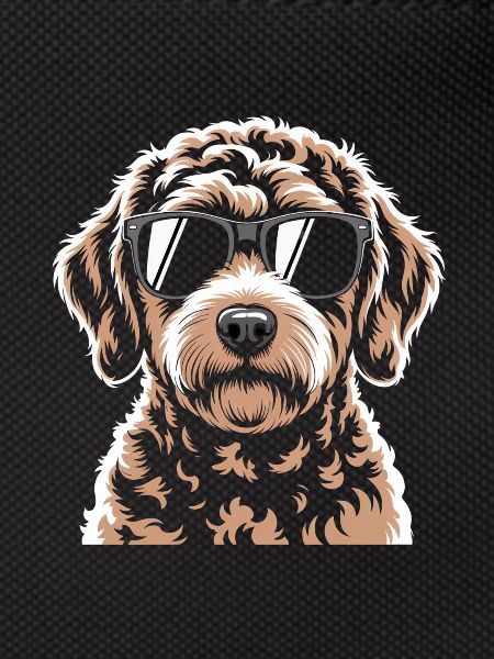 Labradoodle brun
