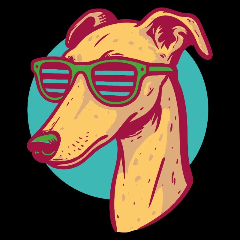 Windhund, Galgo