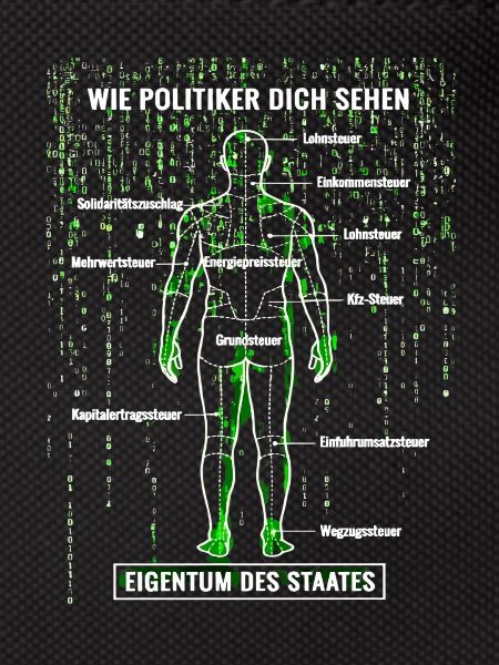 Systemfehler Steuerzahler - Matrix Zerlegeplan 
