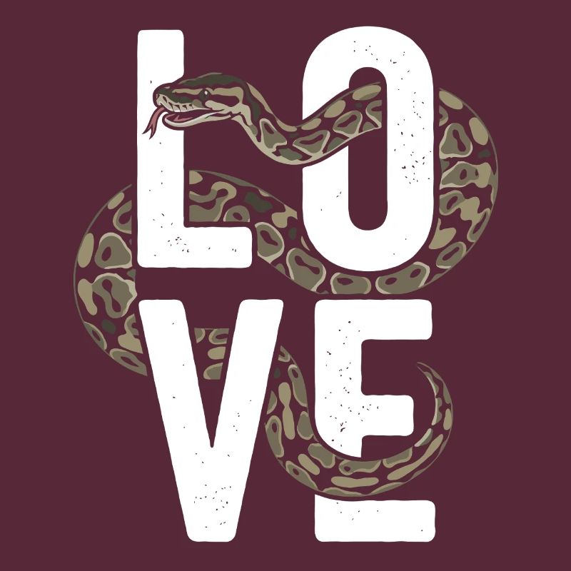 King Python Snakes LOVE Terrarium Python