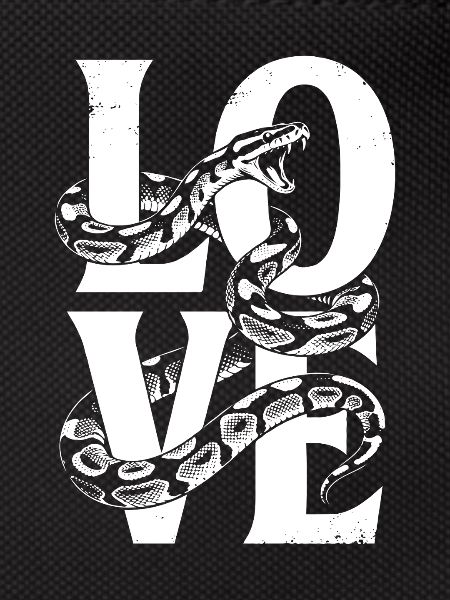 Königspython Schlangen LOVE Terrarium Python