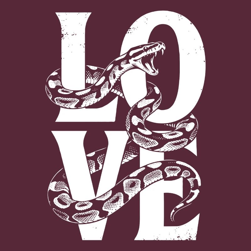 King Python Snakes LOVE Terrarium Python