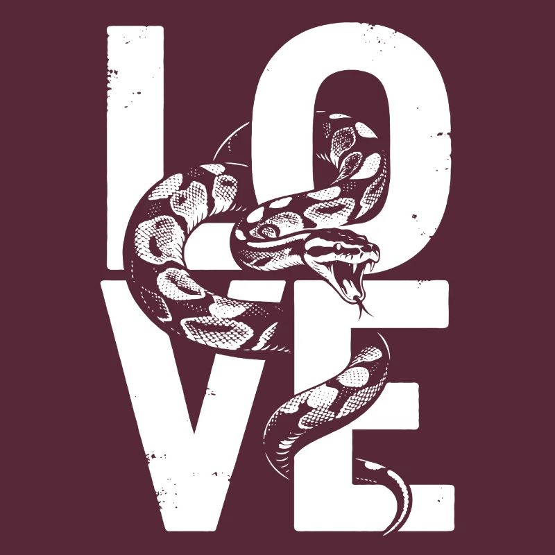 Königspython Schlangen LOVE Terrarium Python