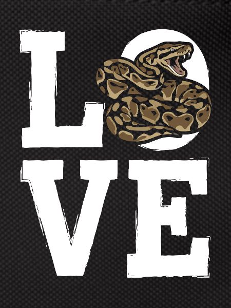 Königspython Schlangen LOVE Terrarium Python