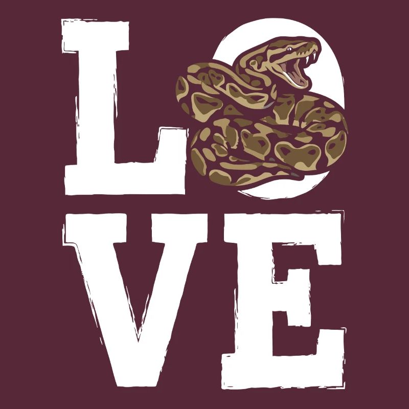 King Python Snakes LOVE Terrarium Python