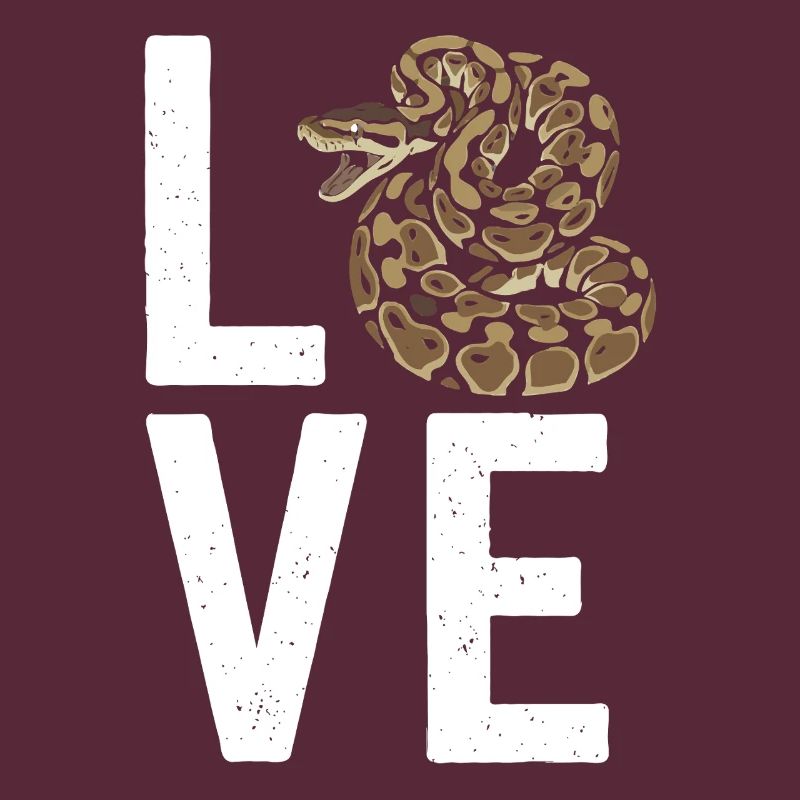 King Python Snakes LOVE Terrarium Python