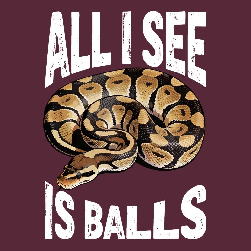 Python roi Serpents Amateurs de terrarium Python