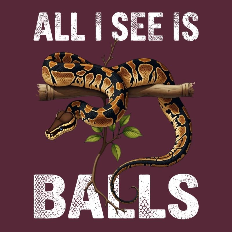 Python roi Serpents Amateurs de terrarium Python