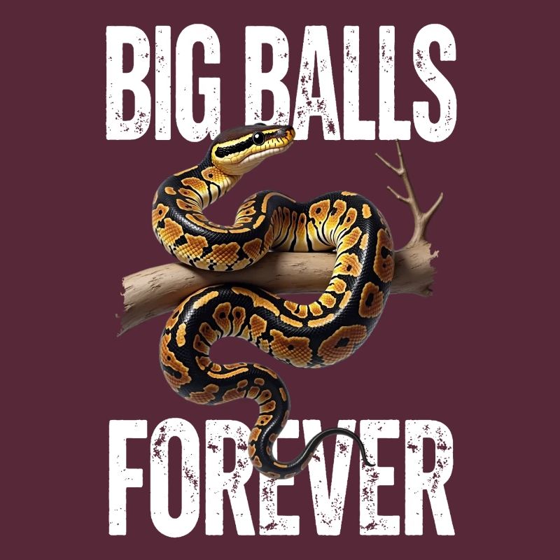 King Python Snakes Lover Terrarium Python