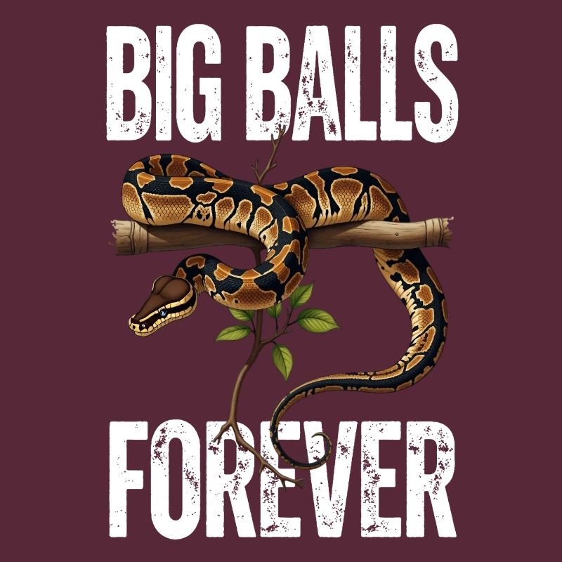 King Python Snakes Lover Terrarium Python