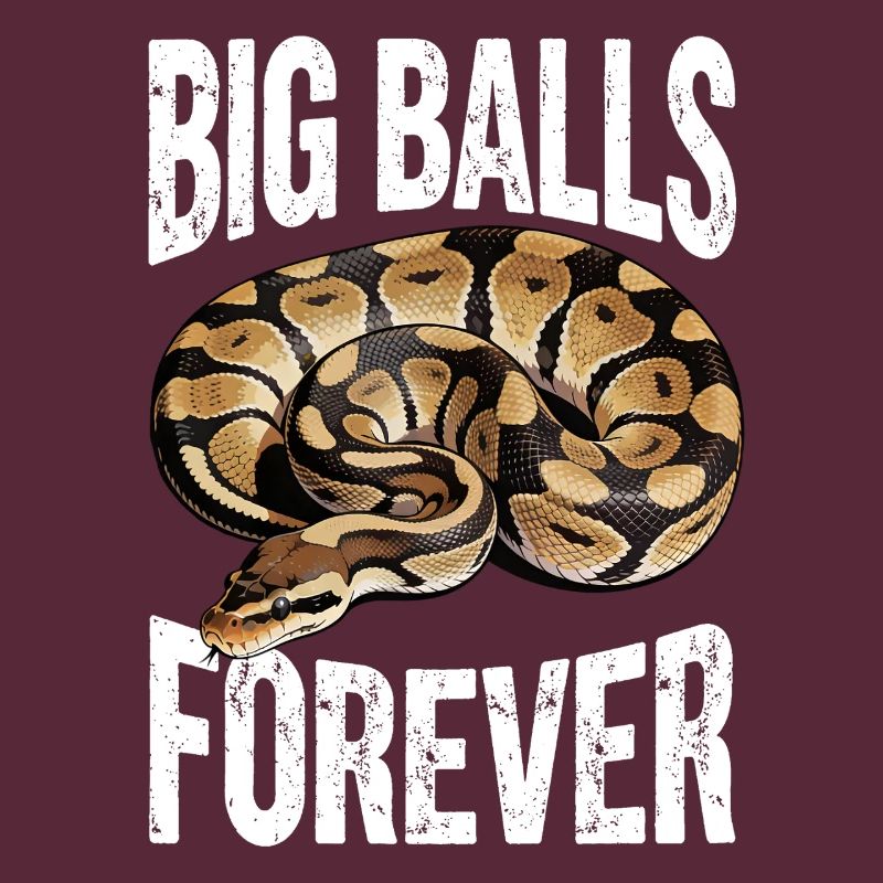 King Python Snakes Lover Terrarium Python