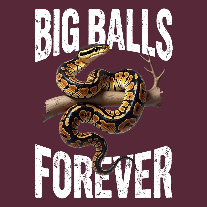 King Python Snakes Lover Terrarium Python