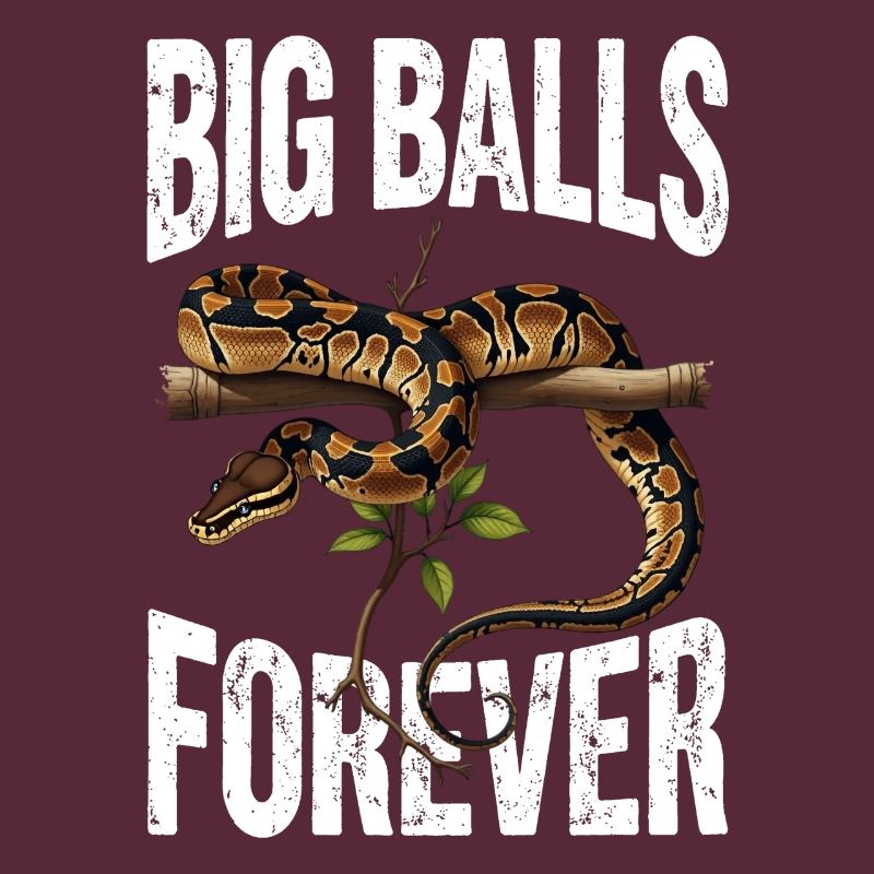 King Python Snakes Lover Terrarium Python