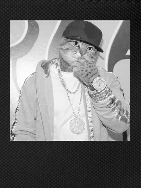 Cat rapper street style