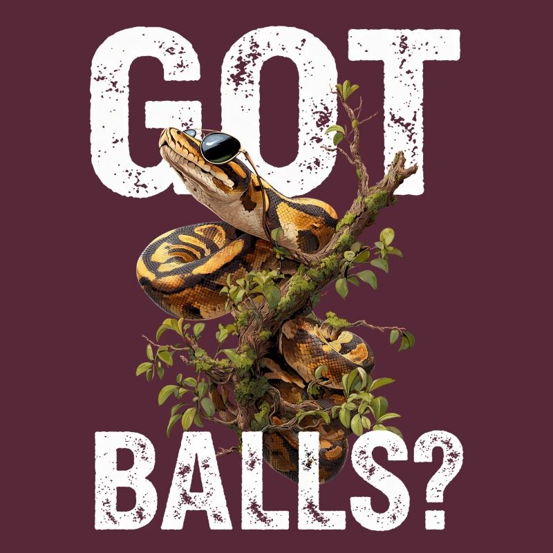 Python roi Serpents Amateurs de terrarium Python